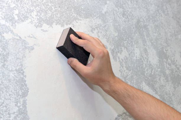 Best Mold Odor Removal Services  in Jefferson Valley Yorktown, NY