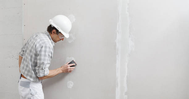 Best Mold-Related Health Consultation  in Jefferson Valley Yorktown, NY