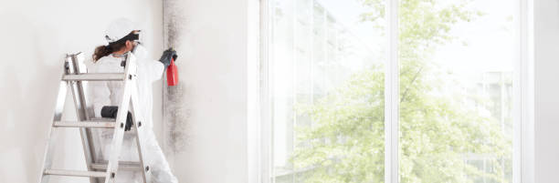 Best Industrial Mold Remediation  in Jefferson Valley Yorktown, NY